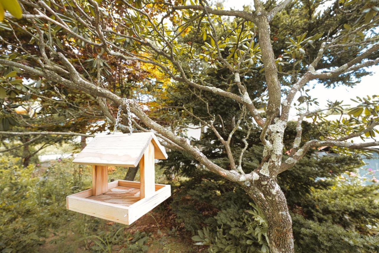 旭川市 Maple Farmヴィラ エクステリア 写真